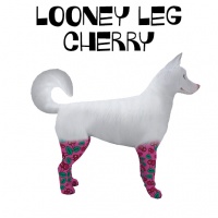 Looney Leg Cherry