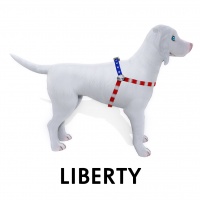 Liberty