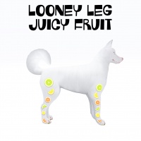 Looney Leg Juicy Fruit