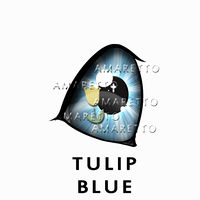 Tulip Blue