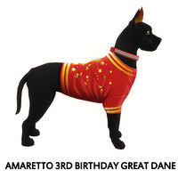 Amaretto 3rd Birthday Great Dane