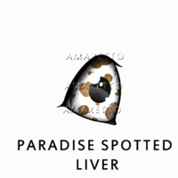 Paradise Spotted Liver