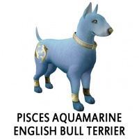 Pisces Aquamarine English Bull Terrier