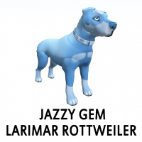 Jazzy Gem - Larimar Rottweiler