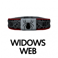 Widows Web