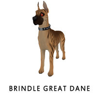 Brindle Great Dane