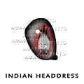 Indian HeaddressBird.jpg