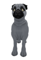 Pug Solid Silver.png