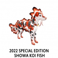 2022 Special Edition – Showa Koi Fish