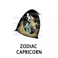 Zodiac Capricorn Eye