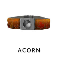 Acorn