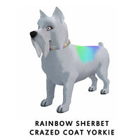 Rainbow Sherbet Crazed Coat Yorkie