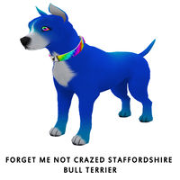 Forget Me Not Crazed Staffordshire Bull Terrier