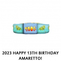 2023 Happy 13th Birthday Amaretto! Collar