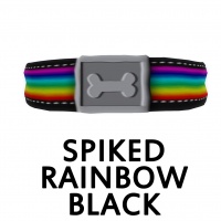 Spiked Rainbow Black