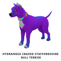 Hydrangea Crazed Staffordshire Bull Terrier