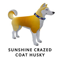 Sunshine Crazed Husky