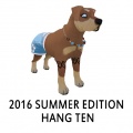 2016 Summer Edition Hang Ten.jpg