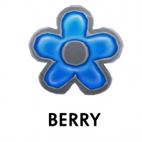 Flower- Berry