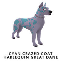 Cyan Crazed Coat Harlequin Great Dane