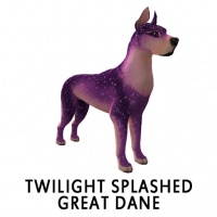 Twilight Splashed Great Dane