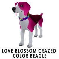 Love Blossom Crazed Coat Beagle