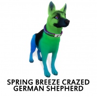 Spring Breeze Crazed German Shepherd