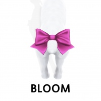 Bloom