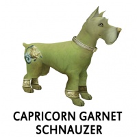 Capricorn Garnet Schnauzer