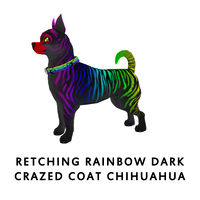 Retching Rainbow Dark Crazed Coat Chihuahua