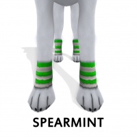 Paw Warmer Spearmint