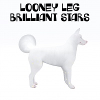 Looney Leg Brilliant Stars