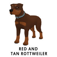 Red and Tan Rottweiler