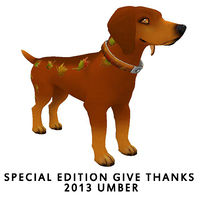 Special Edition Give Thanks 2013- Umber