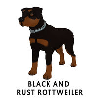 Black and Rust Rottweiler