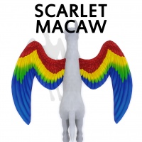 Scarlet Macaw