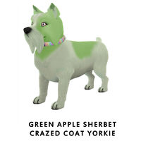 Green Apple Sherbet Crazed Coat Yorkie