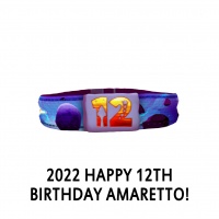 Happy 12th Birthday Amaretto! Collar