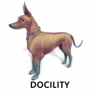 Docility