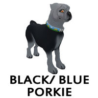 Black/Blue Porkie