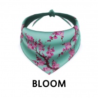 Bloom