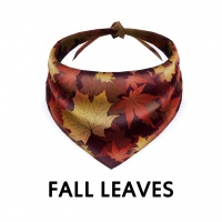 Fall Leaves