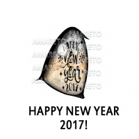 Happy New Year 2017!