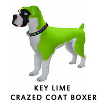 Key Lime Crazed Coat Boxer