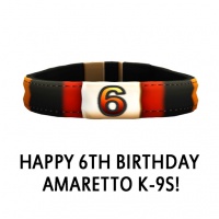 Happy 6th Birthday Amaretto K-9s!Collar