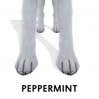 Peppermint Paw Polish