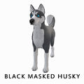 BlackMaskedHusky.jpg