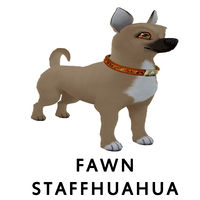 Fawn Staffhuahua