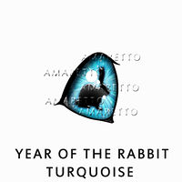 Year of the Rabbit - Turquoise