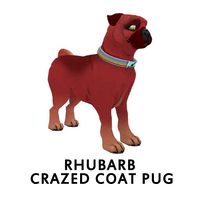 Rhubarb Crazed Coat Pug